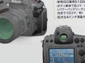 Nikon D900 When What Will Do…My Call
