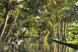 How to Reach Alleppey