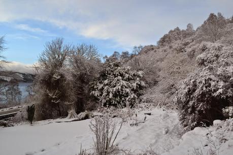 A snowy Spring