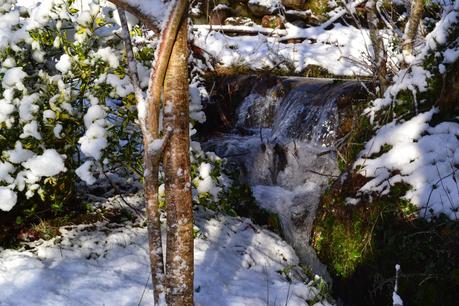 A snowy Spring