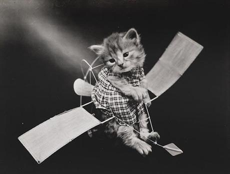 Cutest Pet Portraits Of The Past Century, Will Make Your Day