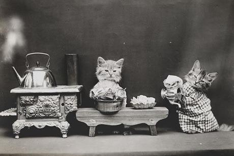 Cutest Pet Portraits Of The Past Century, Will Make Your Day
