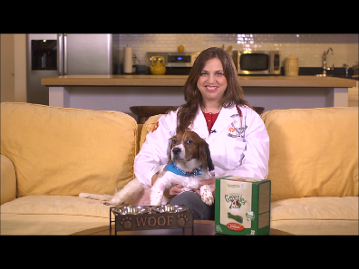 Pet Dental Health Month: Veterinarian demonstrates 3 step dog dental routine