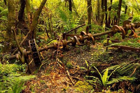 NEW ZEALAND's FIORDLAND: Part 3, Cruise on Milford Sound, Guest Post by Owen Floody