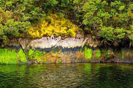 NEW ZEALAND's FIORDLAND: Part 3, Cruise on Milford Sound, Guest Post by Owen Floody