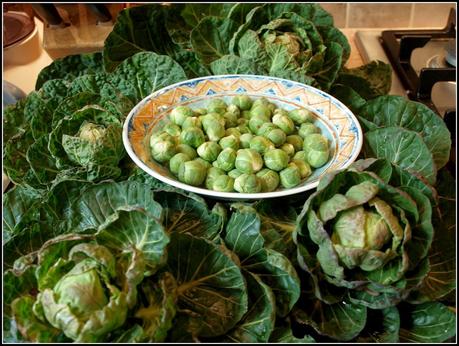 Last of the Brussels Sprouts