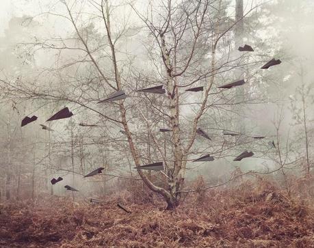 see | art installation