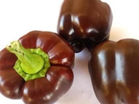 Chocolate Pepper