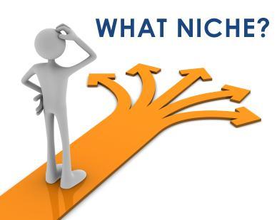 How to Find Your Blogging Niche blog niche