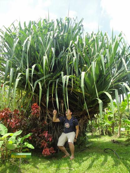 Bolly Veggie Farm