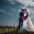 2014 – A years Weddings in Review