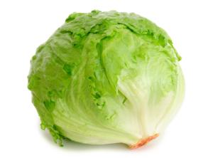 iceberg-lettuce-head