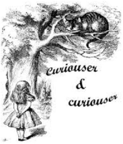 curiouser & curiouser