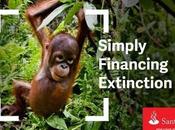 Santander: Simply Financing Extinction Greenpeace (blog)