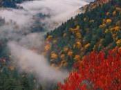 Gatlinburg Conference Examine Biodiversity Issues