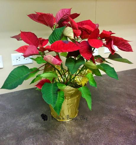 #DIY - Pep up your home decor for few bucks!