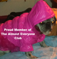 The Almost Everyone Club