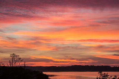 Sunset at Chincoteague NWR © 2015 Patty Hankins