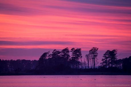 Sunset at Chincoteague NWR © 2015 Patty Hankins