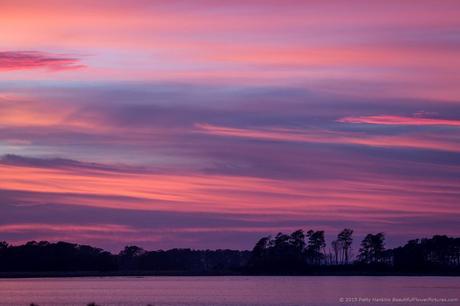 Sunset at Chincoteague NWR © 2015 Patty Hankins