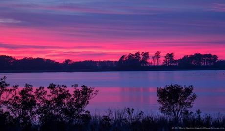 Sunset at Chincoteague NWR © 2015 Patty Hankins