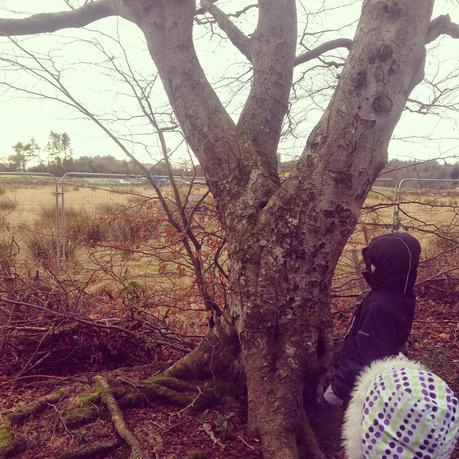 #LittleLoves 7 #LittleLoves 7