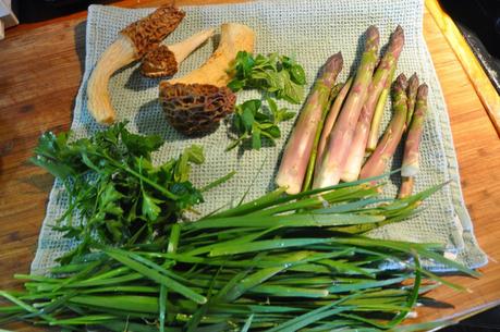 Fast Forward to May --- As the Temperatures Plunge