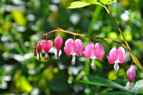 Fast Forward to May --- As the Temperatures Plunge