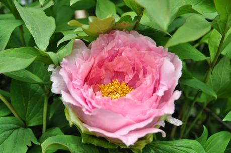 Fast Forward to May --- As the Temperatures Plunge