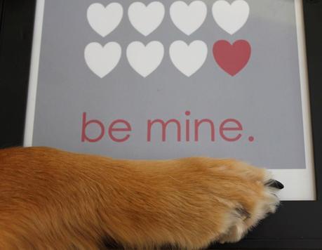 8 Ways Dogs Make Better Valentines Than People