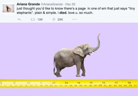 ariana-tinyelephants