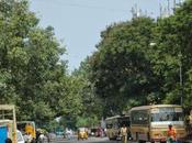 ‘Teynampet Supermarket Irangu Airconditioned Stops