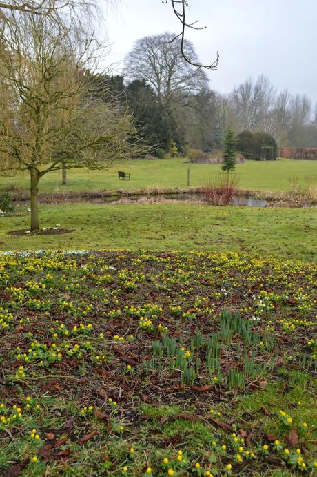 Little Ponton Hall - the Aconite Sea