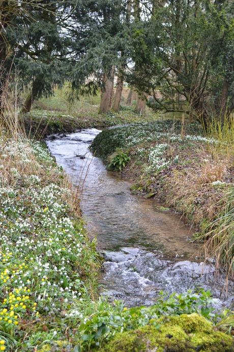 Little Ponton Hall - the Aconite Sea