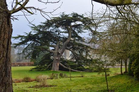 Little Ponton Hall - the Aconite Sea