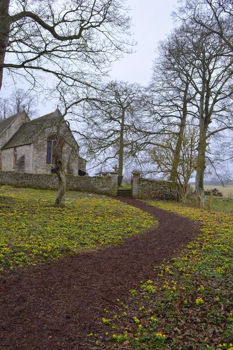 Little Ponton Hall - the Aconite Sea