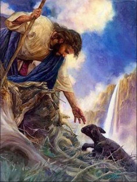 Good Shepherd saves lost lamb
