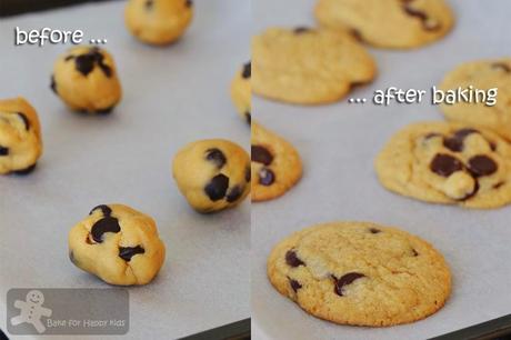 Most Popular Chewy Chocolate Chips / Chunk Cookies