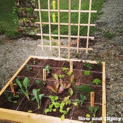 Three Small Space Garden Ideas