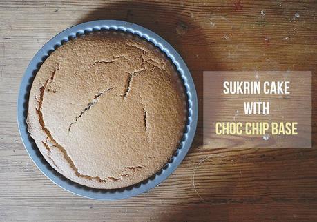 Recipe | Sukrin Gluten Free Cake with Choc Chips!