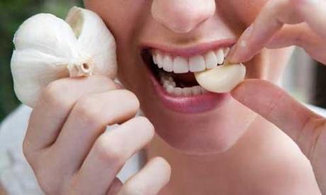 Benefits of Garlic Herb