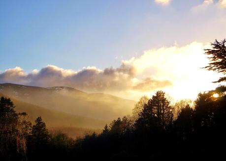 Tollymore Sunset ~ 'growourown.blogspot.com'