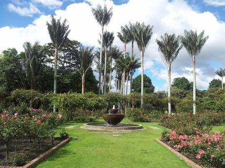 The Botanical Gardens of Bogota