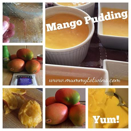 MangoPudding2_blog