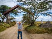 #myRTW: Getting Stamped Safari Africa