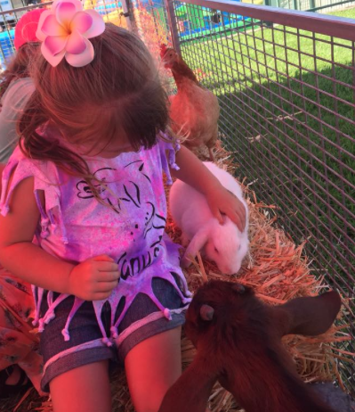 3B's Family heads to Caulfield Family Day 2015