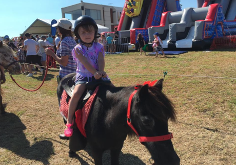 3B's Family heads to Caulfield Family Day 2015