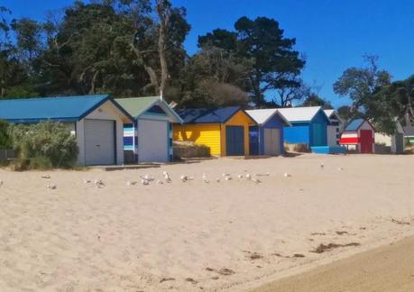 Seaside and beach huts (summer snaps part 2)
