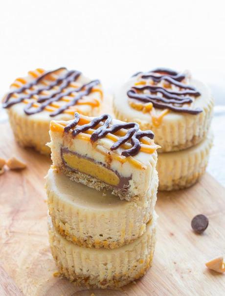 Peanut Butter Cup Mini Cheesecakes with Pretzel Crusts, a peanut butter lover's dream come true!  sweetpeasandsaffron.com @necie83