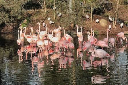 Denmark – Odense Zoo